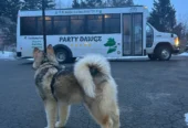 PARTY DAWGZ (Active Daycare+Boarding & Grooming)