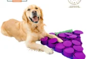 PawzNDogz