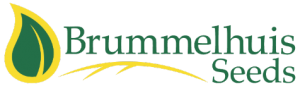 BH-Seeds-logo-300×86-1