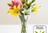 Compassion Flowers