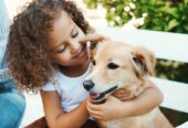Seasons Veterinary Clinic