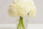 Compassion Flowers