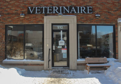 45-FrontClinic-CliniqueVeterinairePilletInc-910AvOgilvy