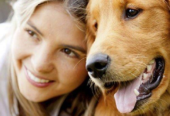 Northgate Animal Hospital