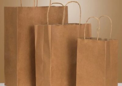 Paper-Shopping-Bag-13-x-6-x-15.75