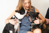 ATD Clubhouse (Pour Tous Les Chiens)