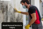 Mould Removal & Remediation Services in Calgary