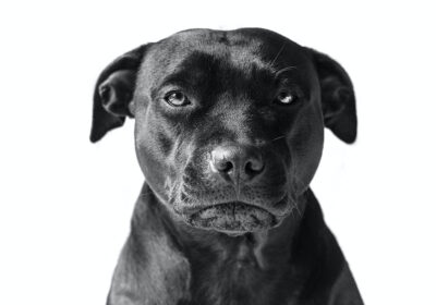 victor-grabarczyk-cfy63vy2mOs-unsplash1