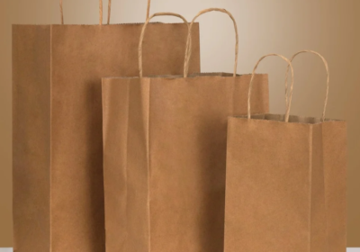 Paper-Shopping-Bag-13-x-6-x-15.75-1